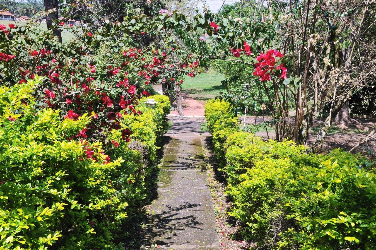 Hotel Nosso Sonho Itatiba Dış mekan fotoğraf